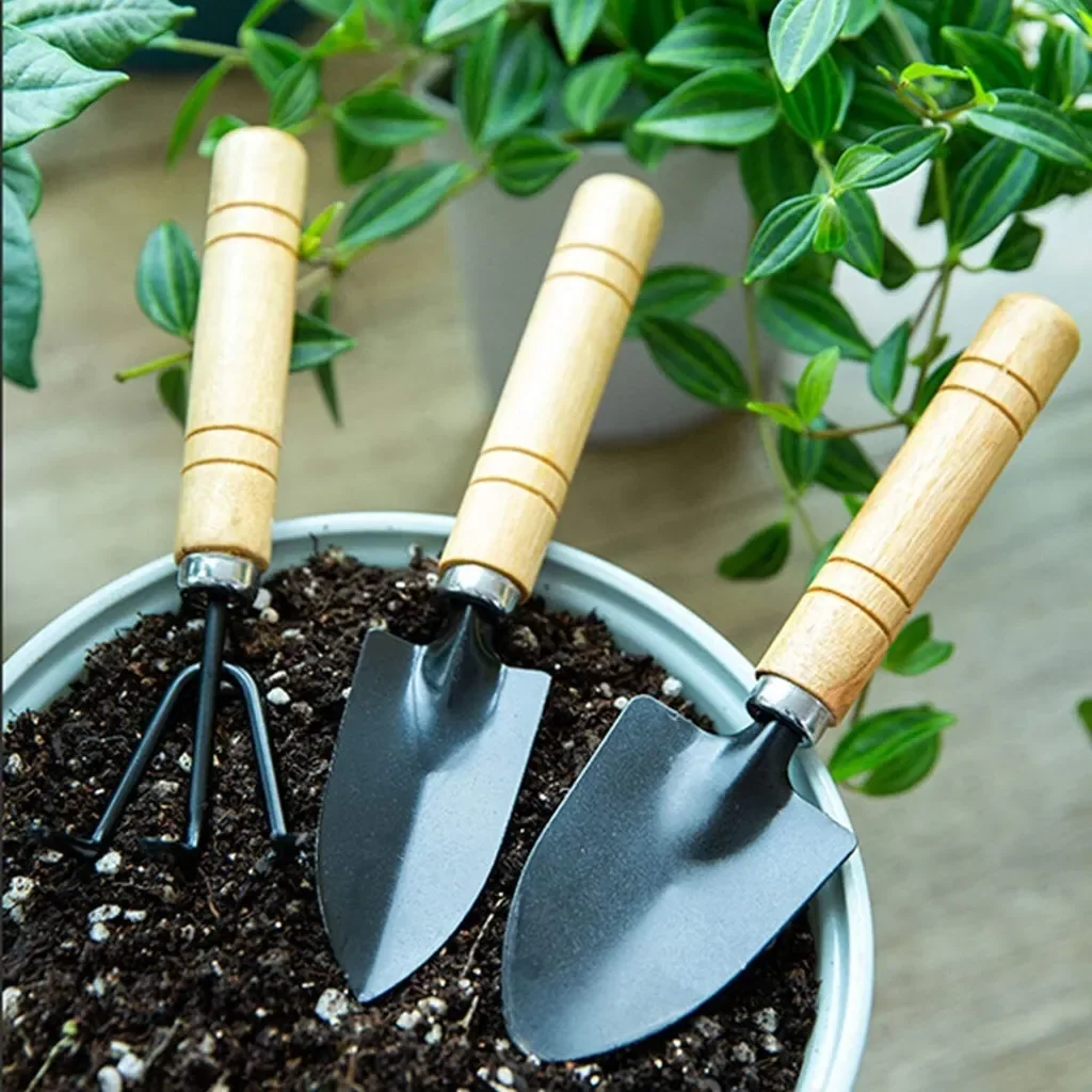 Zimtky Mini Gartenwerkzeug Set 3-tlg Bonsai Schaufel Spaten Rechen