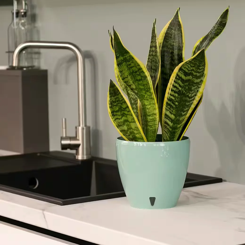 Blumentopf Deco Twin - Selbstbewässerungstopf mit Wasserstandsüberwachung